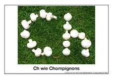 Ch-wie-Champignons.pdf